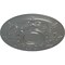 Ekena Millwork Darnay Ceiling Medallion (Fits Canopies up to 7 1/4"), Hand-Painted Silver, 29 1/4"OD x 2"P CM29DASLS - alternate 3